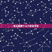 怎么看两个人八字合不合，怎么算俩人八字合不合？