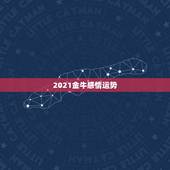 2021金牛感情运势，金牛座今年运势2021