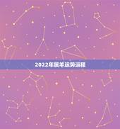 2022年属羊运势运程，2003属羊在2022年学业怎么样