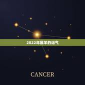 2022年属羊的运气，2021年91年属羊人的全年运势