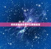 虎妈龙爸适合生什么属相宝宝，爸爸属龙妈妈属虎，生什么属相的孩子