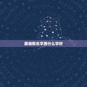 属相取名字用什么字好，适合取名字的字