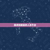 属虎和属鼠的人合不合，属龙的和属兔的合不合