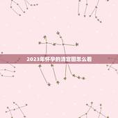 2023年怀孕的清宫图怎么看，今年2023年了解自己如何算清宫图怀孕的