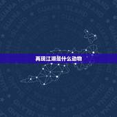 再现江湖是什么动物，保岗:江湖指什么动物