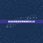 属龙的和属兔的婚姻相配怎么样，男属兔和女属龙相克吗