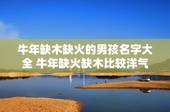 牛年缺木缺火的男孩名字大全 牛年缺火缺木比较洋气的男孩名字
