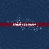 属兔和属羊适合做生意吗(星座与职业选择)