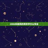 2006年属狗的男孩学什么专业，2006年属狗在2022年的学业