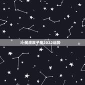 属虎双子座2022运势，2022年双子座学业运势