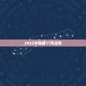 2022水瓶座11月运势，水瓶座十一月份运势