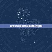 肖蛇和肖猪都是运势很好的属相，属猪的和属蛇的配吗？