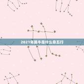 2021年属牛是什么命五行，夫妻都是火命，生个水命的孩子可以吗？