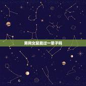 男狗女鼠能过一辈子吗，狗男鼠女能过长久吗