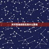 欢天喜地迎四五是什么属相，欢欢喜喜迎十五欢天喜地庆十五记忆犹新是什么生