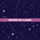 属狗的男孩子做什么生意最旺，属狗人做什么生意最旺