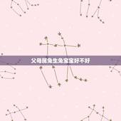 父母属兔生兔宝宝好不好，属兔的今年能不能生男孩