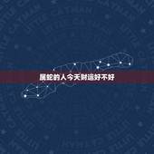 属蛇的人今天财运好不好，属蛇人2022 年运势