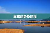 属猪运势及运程，属猪的人猪年运程如何？