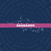 属鼠和鼠兔相克吗，属鼠和兔能过一生吗