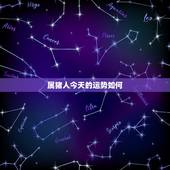 属猪人今天的运势如何，属猪今日运势每日更新