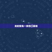 龙蛇猴兔一家四口属相，一家四口爸妈都属兔的，儿子属龙，女儿属虎，好不