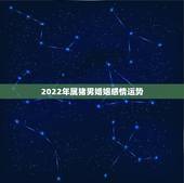2022年属猪男婚姻感情运势，2022 年属猪人全年运势