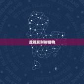 盆栽发财树植物，发财树有什么生活习性？