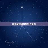 属相分歧较大是什么意思，属相不合