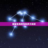属鼠生肖的今年多大年龄，2022 生肖鸡今年多大年龄