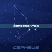 属牛的婚配是哪几个属相，属牛的属相婚配表