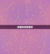 泰国桃花眼佛牌，怎样供养泰国佛牌（蝴蝶牌）