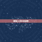 属兔人3月5日运势，2013年生肖兔运程