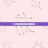 95年属猪的最佳婚配表 生肖猪的最佳配偶