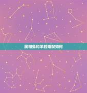 属相兔和羊的婚配如何，属羊和属兔相配吗