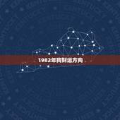 1982年狗财运方向，今天82年属狗的财运在哪个方向