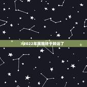 2022年属猴终于转运了，2022年属猴终于转运了