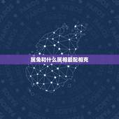 属兔和什么属相最配相克，属鸡的和什么属相最配相克
