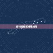 兔和蛇相配婚姻如何，男兔女蛇能过一生吗