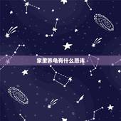家里养龟有什么忌讳，请问：家里养龟有什么讲究？谢谢。