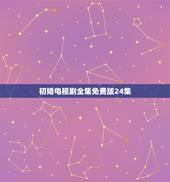 初婚电视剧全集免费版24集，我要看电视剧初婚我要看电视剧初婚7全集 全