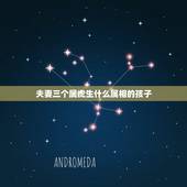 夫妻三个属虎生什么属相的孩子，属鼠女和什么属相不配