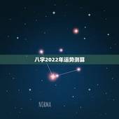 八字2022年运势测算 十神流年读象