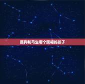 属狗和马生哪个属相的孩子，儿子属狗，想再生一个孩子，属马的和儿子的属相