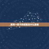 属狗一辈子的福星是什么属相，父母的福星，一生福气满满的生肖都有哪些？