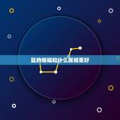 鼠的婚姻和什么属相更好，96年属鼠更佳结婚年龄