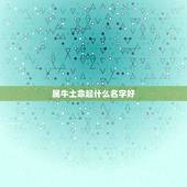属牛土命起什么名字好，土命的人取什么名字好