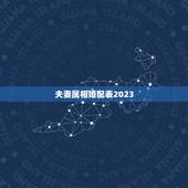 夫妻属相婚配表2023，属鼠的和什么属相最配 属鼠的属相婚配表