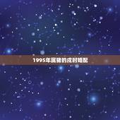 1995年属猪的戌时婚配，1996年属鼠的人婚配1995年属猪的婚配