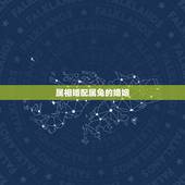 属相婚配属兔的婚姻，属兔的属相婚配表，属兔的和什么属相最配，属兔的属相